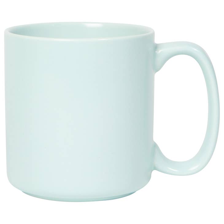 Matte Robin's Egg Blue Mug 14 oz