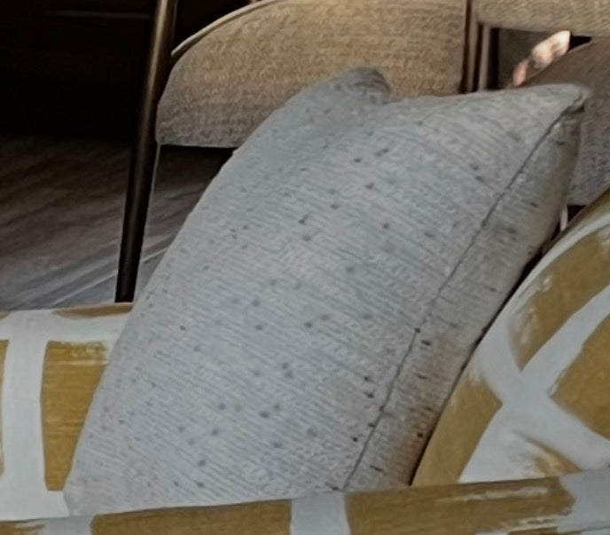 Pair of White Pillows