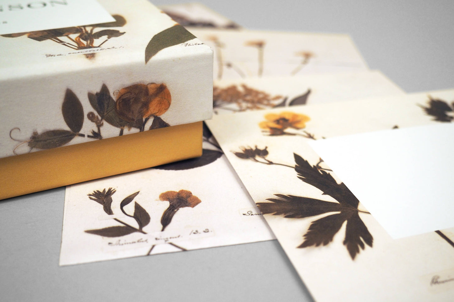 Emily Dickinson Notecards