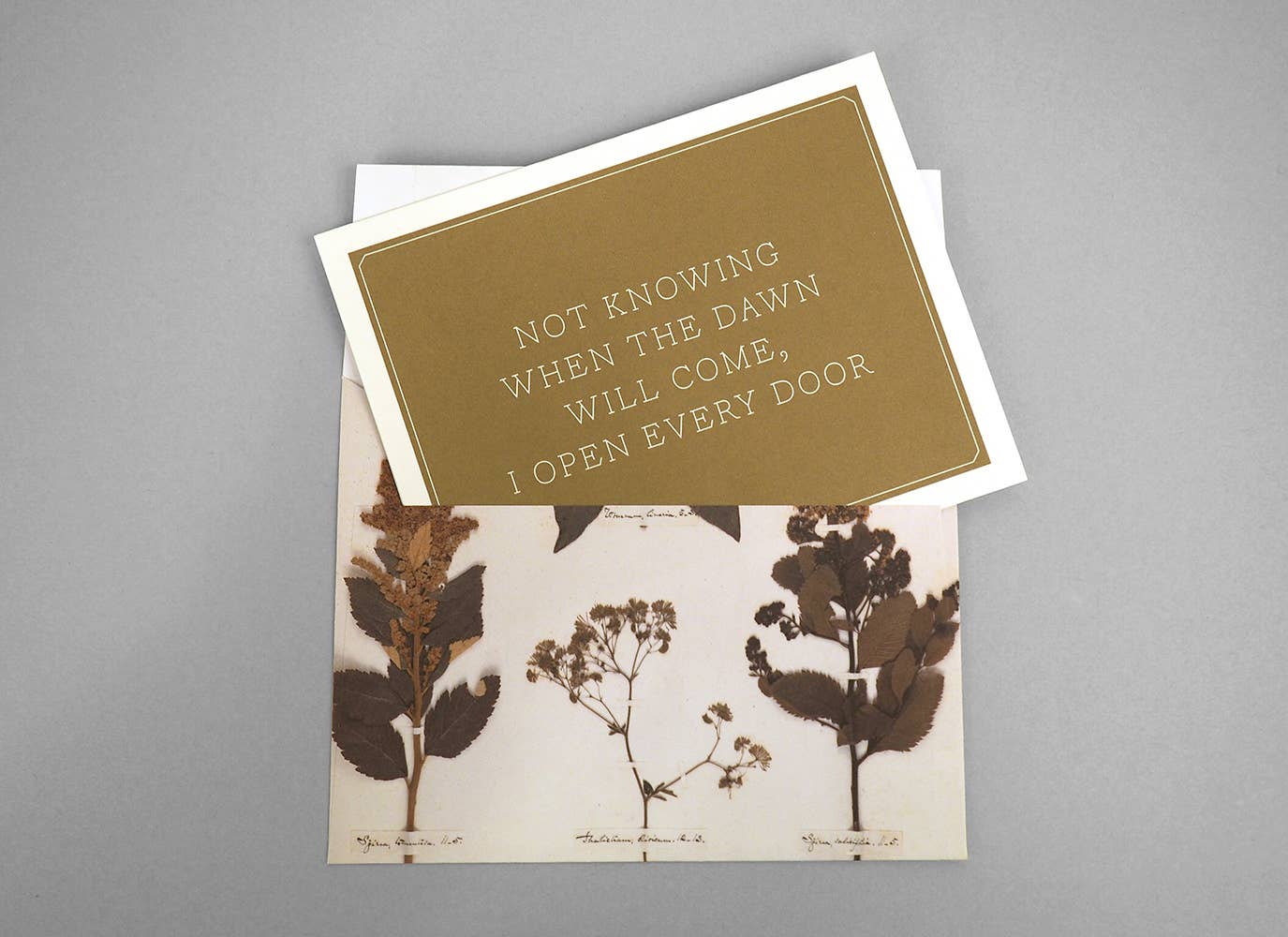 Emily Dickinson Notecards