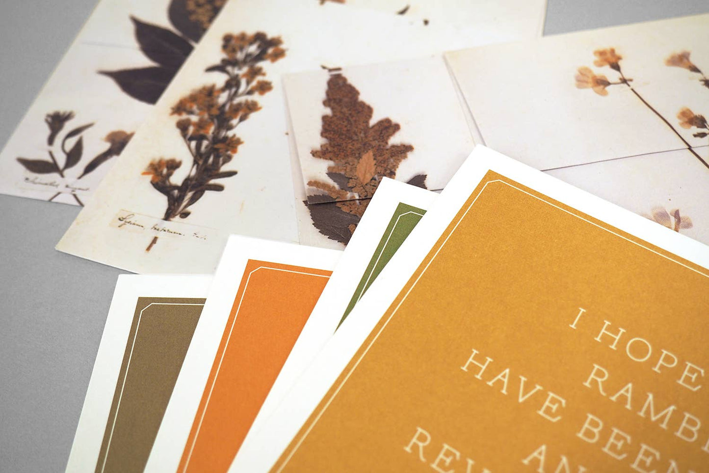 Emily Dickinson Notecards